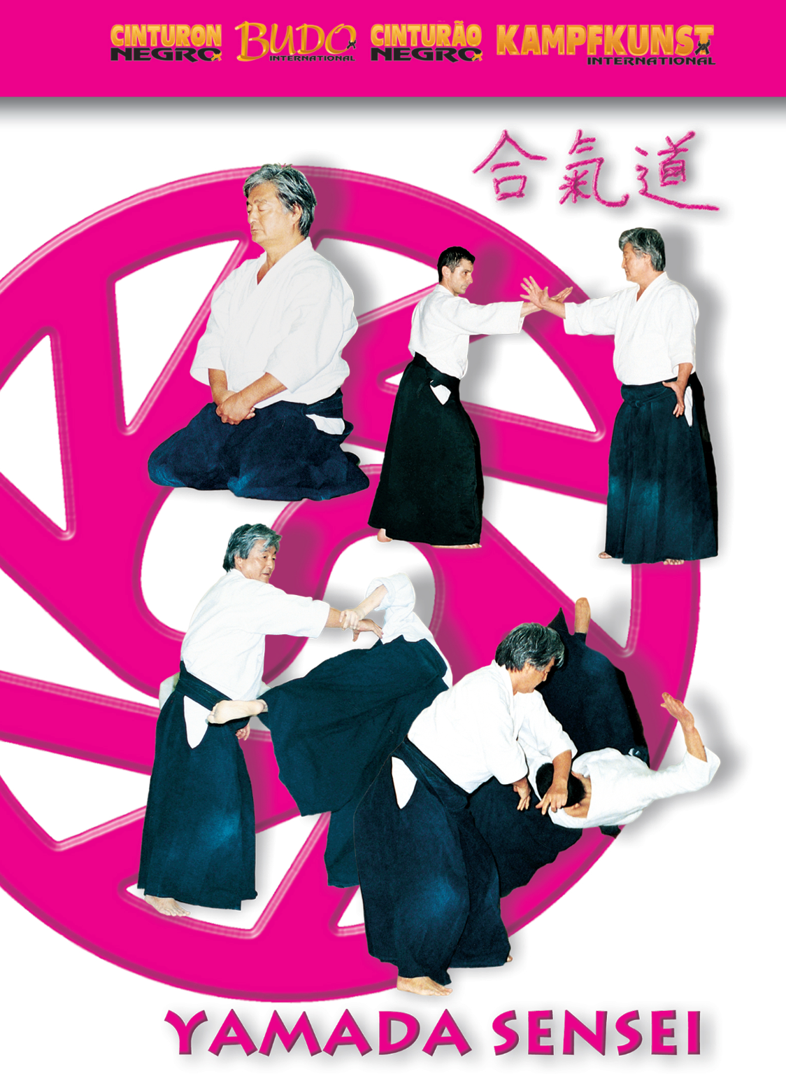Barcelona Aikido Seminar DVD with Yoshimitsu Yamada