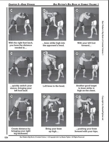 Bas Rutten's Big Book of Combat Volume 1 (中古品)