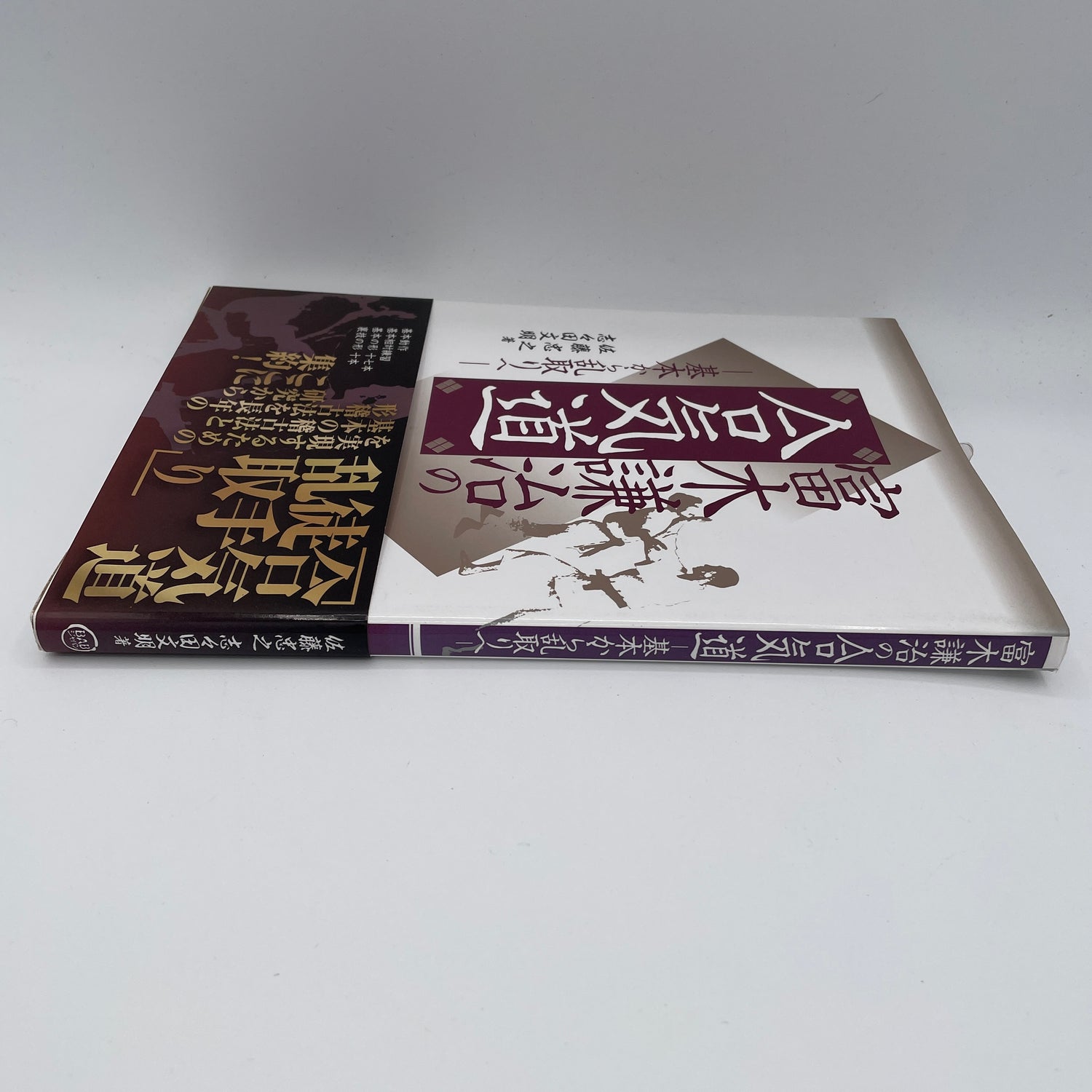 Basics of Kenji Tomiki's Aikido Book by Tadayuki Sato (Preowned)