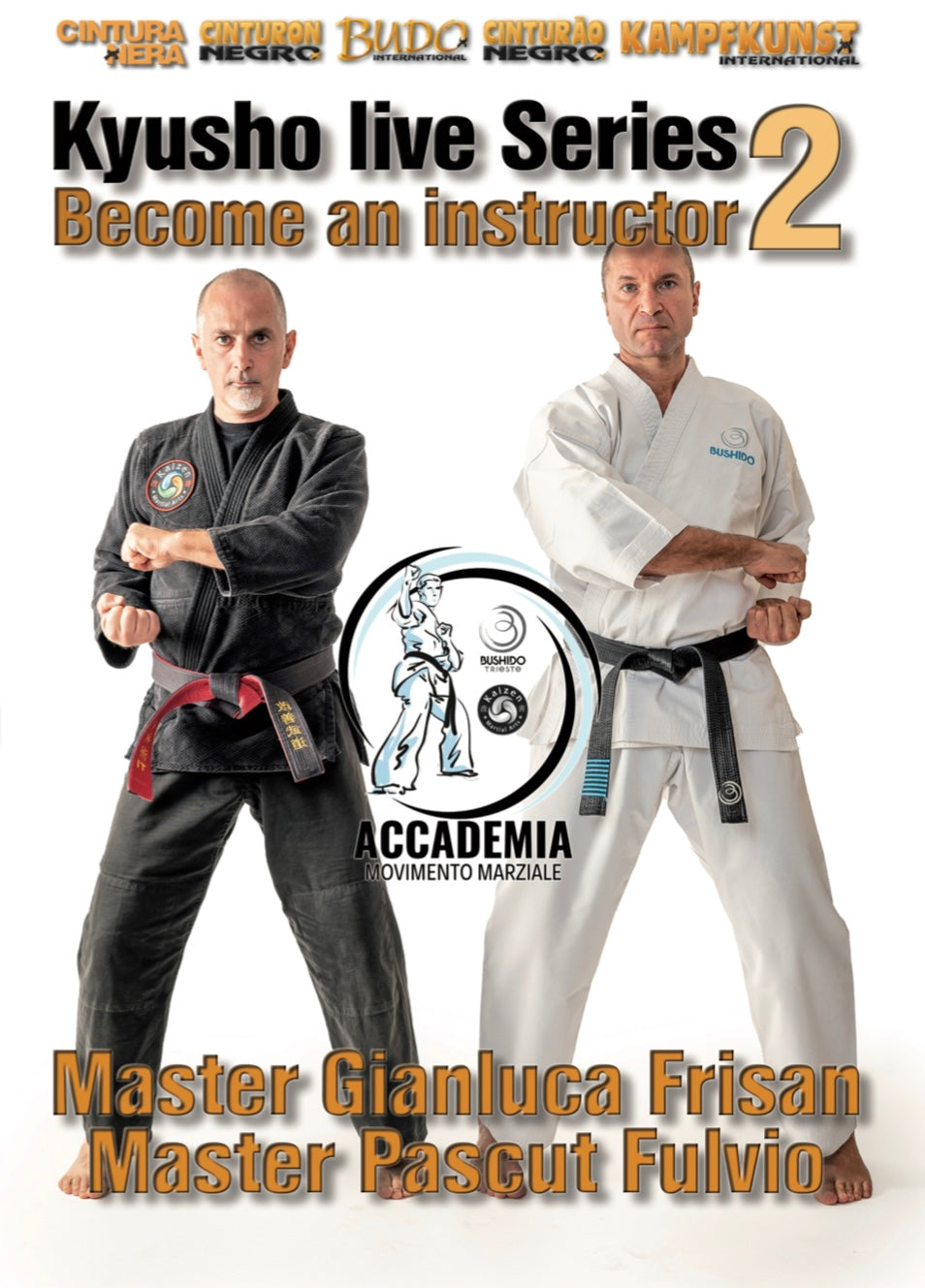 Become a Kyusho Instructor DVD 2 by Gianluca Frisan
