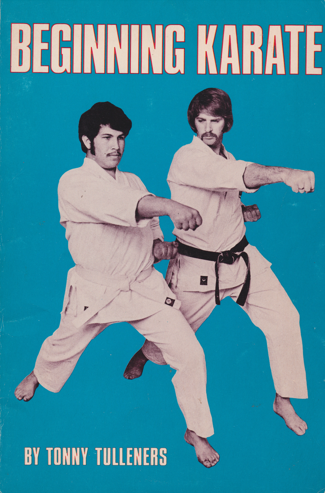 Beginning Karate Book by Tonny Tulleners (Preowned)
