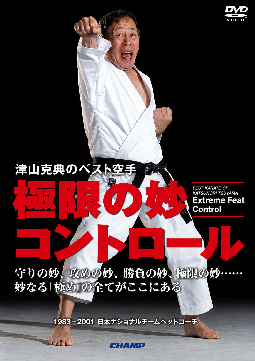 Best Karate of Katsunori Tsuyama