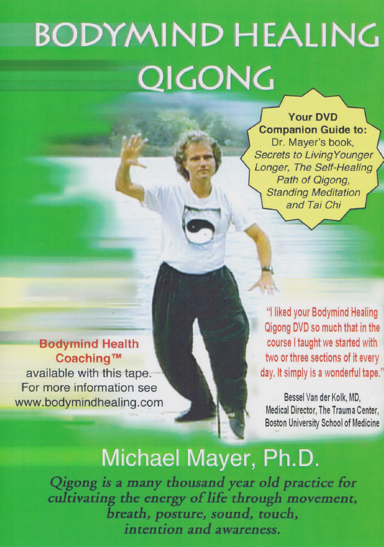 Bodymind Healing Qigong DVD by Michael Mayer (Preowned)