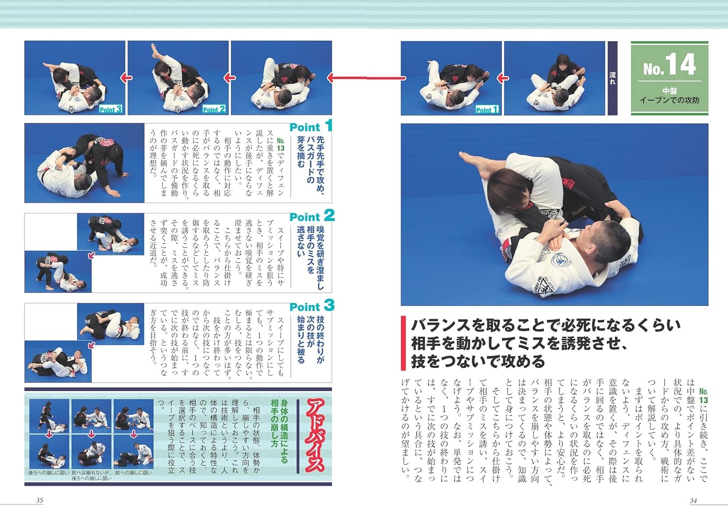 Brazilian Jiu-Jitsu Guaranteed Victory! Book w QR Codes by Mitsuyoshi Hayakawa