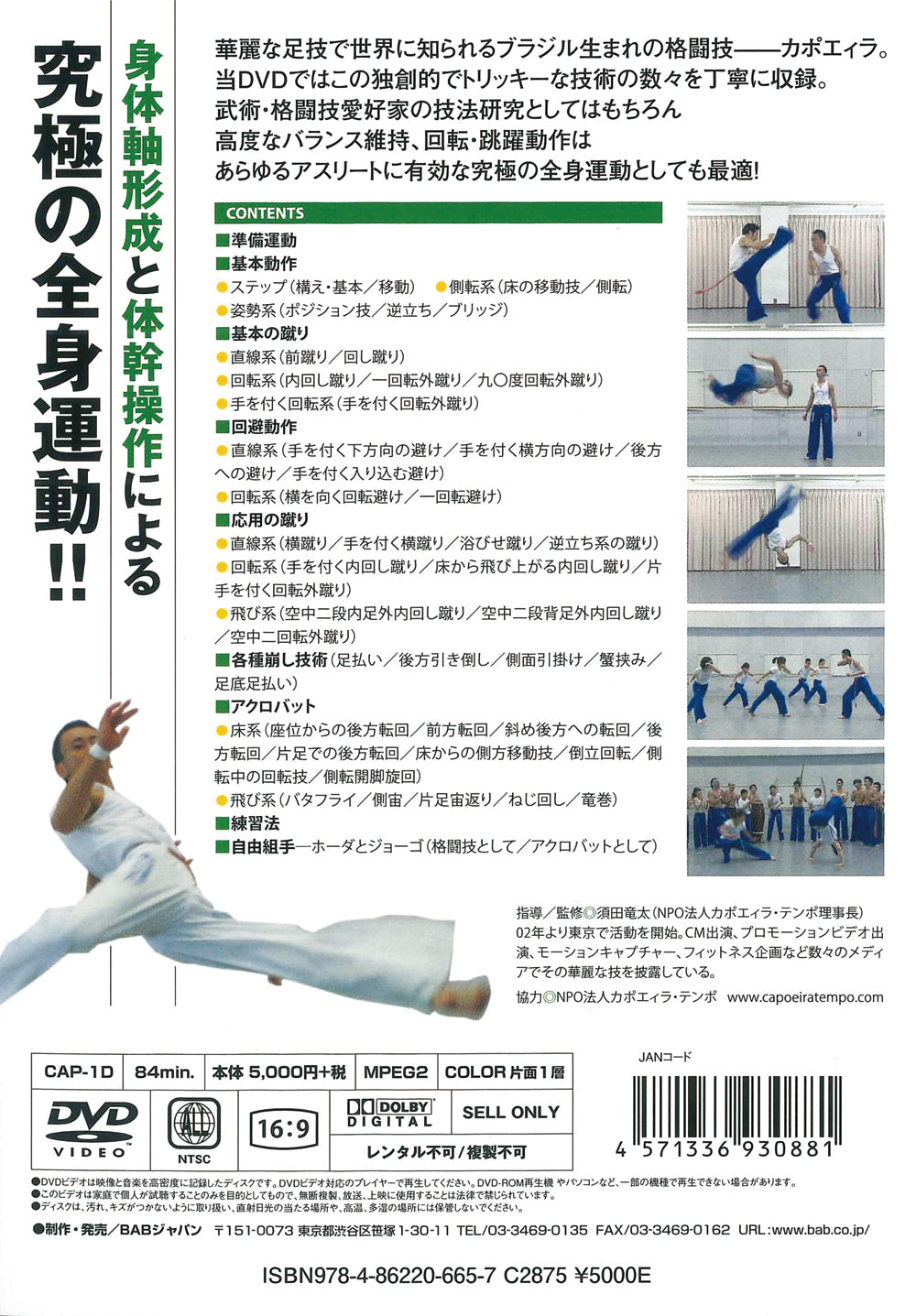 Capoeira Unleashed: Mastering Martial Arts and Acrobatics DVD