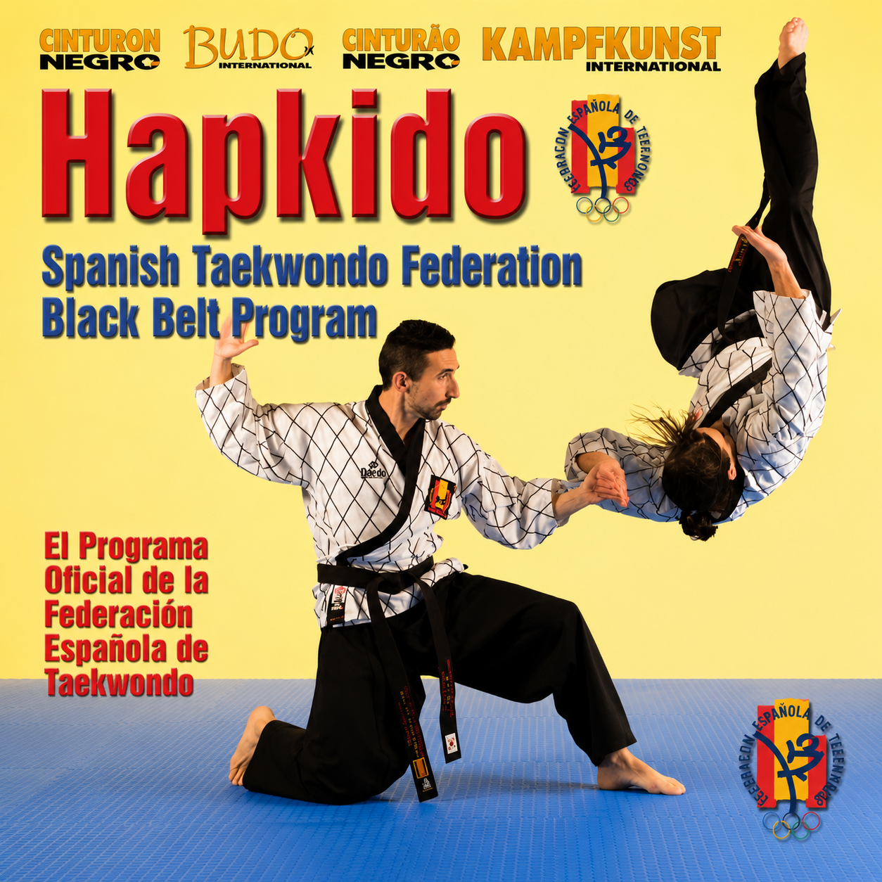 Programa Oficial de Hapkido (Bajo Demanda)