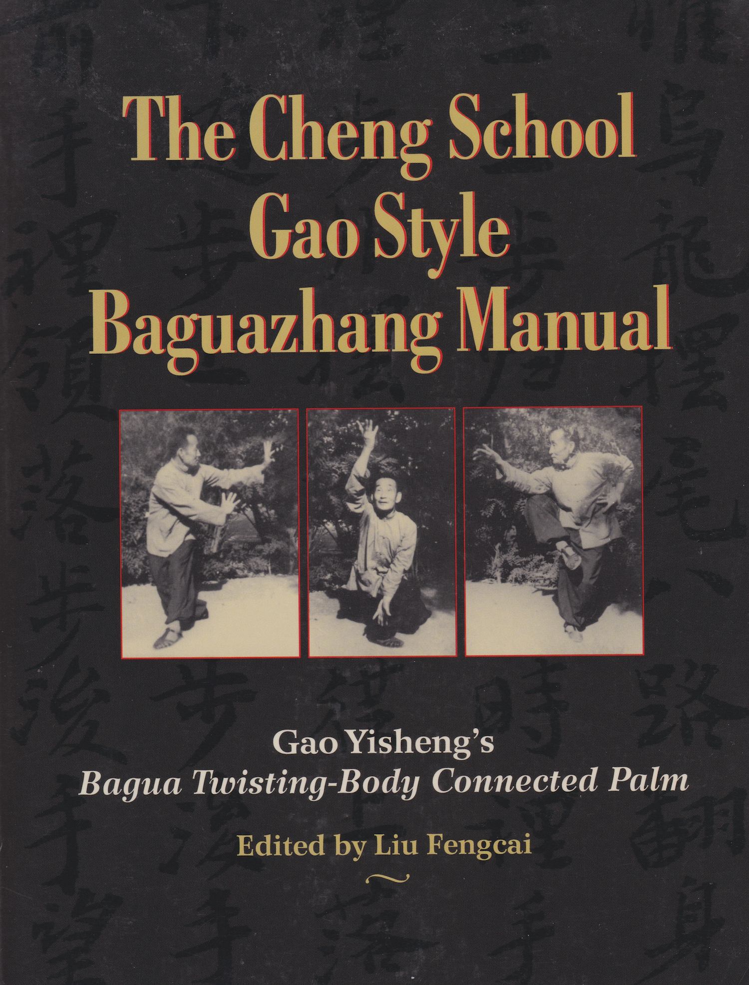 The Cheng School Gao Style Baguazhang Manual: Gao Yisheng's Bagua Twisting-Body Connected Palm Book by Gao Yisheng