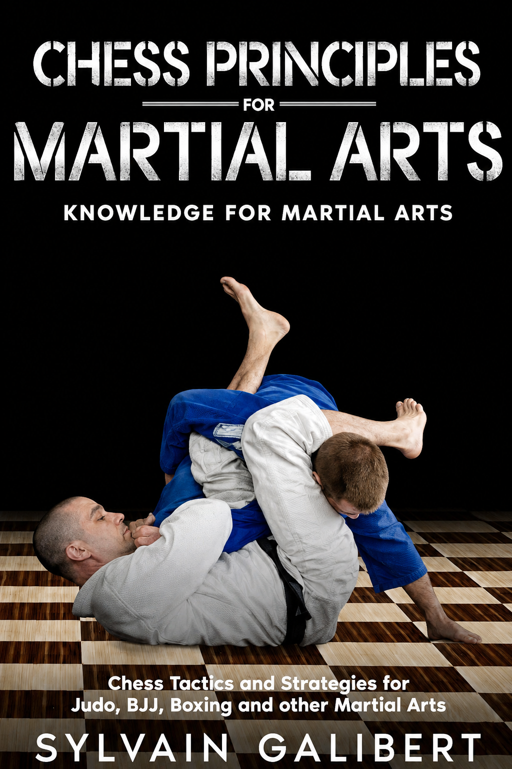 Chess Principles for Martial Arts Book by Sylvain Galibert