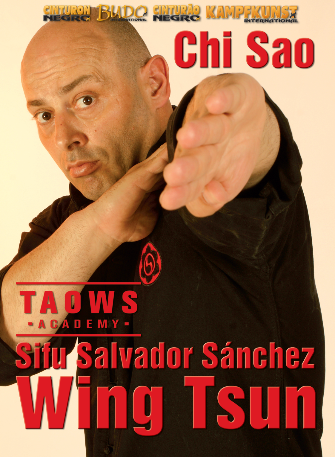Chi Sao Wing Tsun TAOWS Academy DVD with Salvador Sanchez