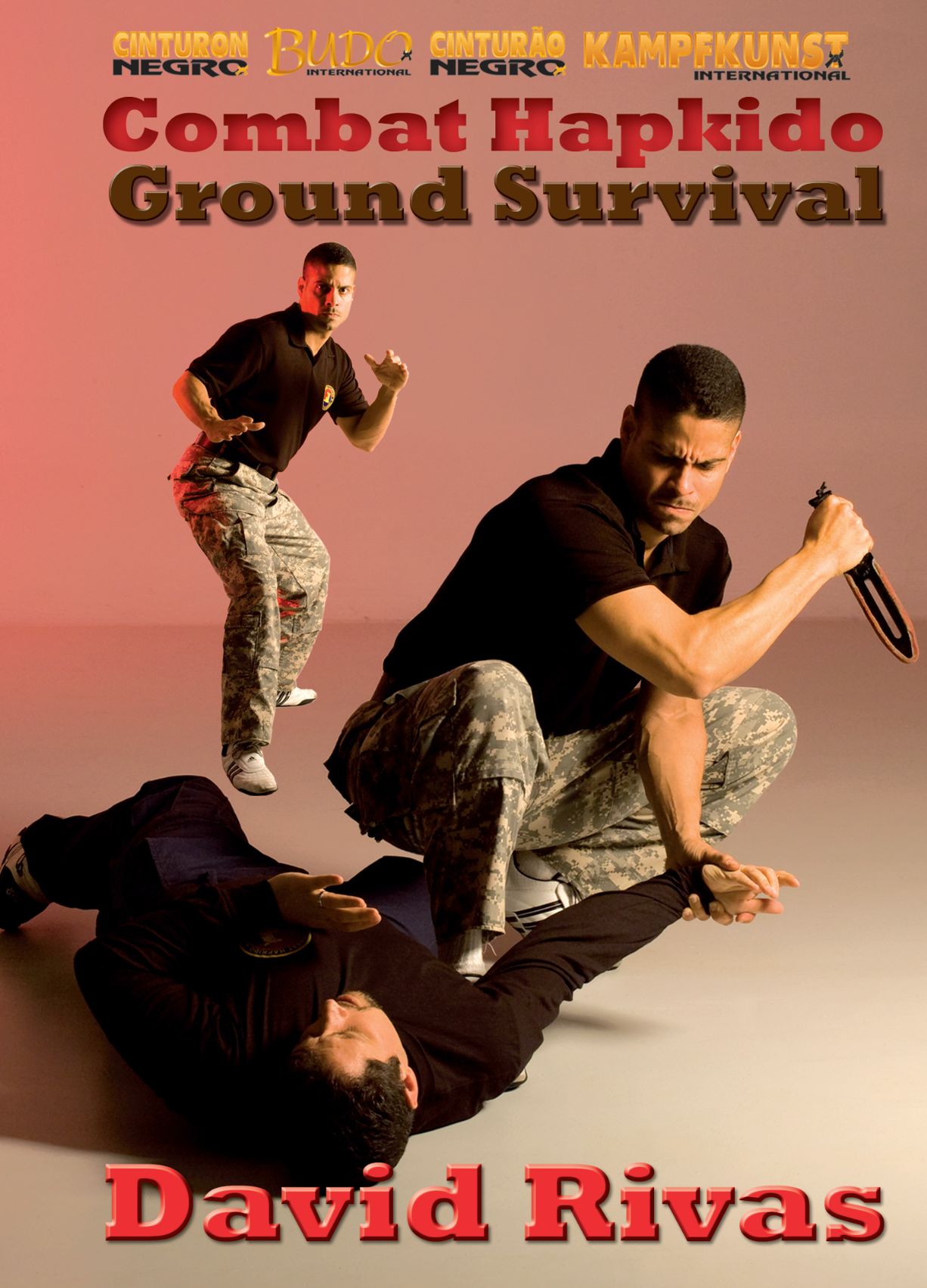 Combat Hapkido Ground Survival DVD by David Rivas