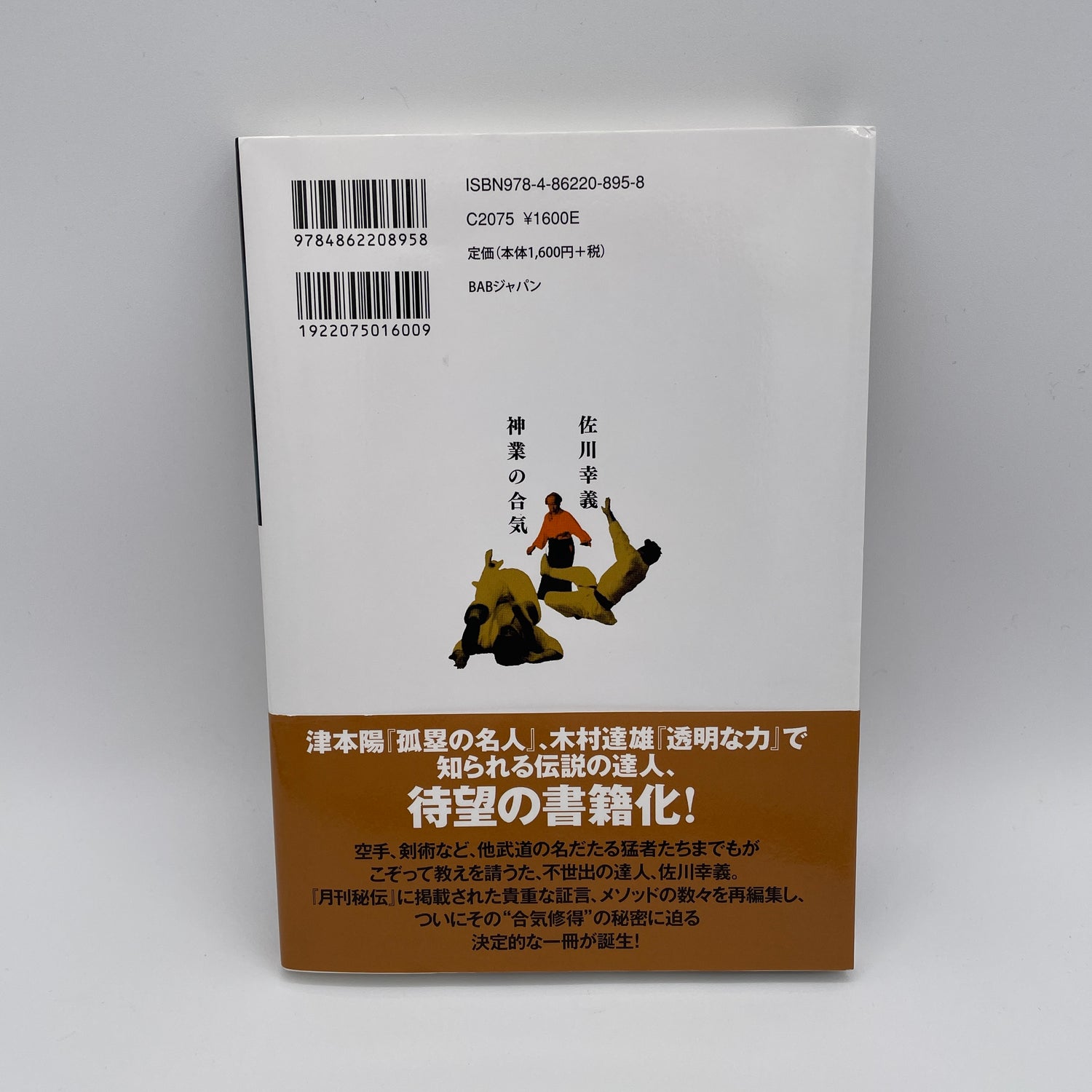 Daito Ryu Aiki Bujutsu de Sagawa Yukiyoshi Libro de las Técnicas Divinas del Aiki