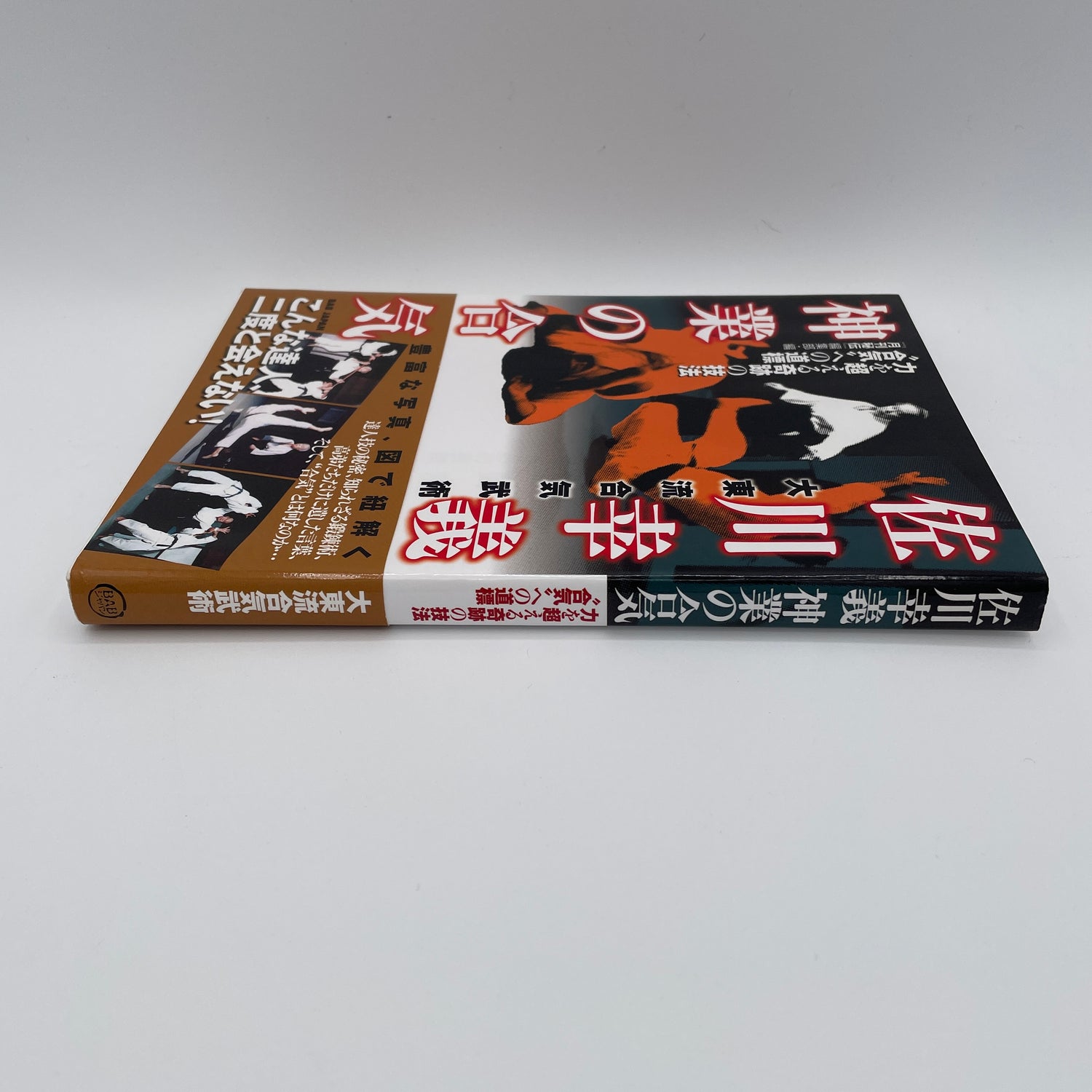 Daito Ryu Aiki Bujutsu de Sagawa Yukiyoshi Libro de las Técnicas Divinas del Aiki