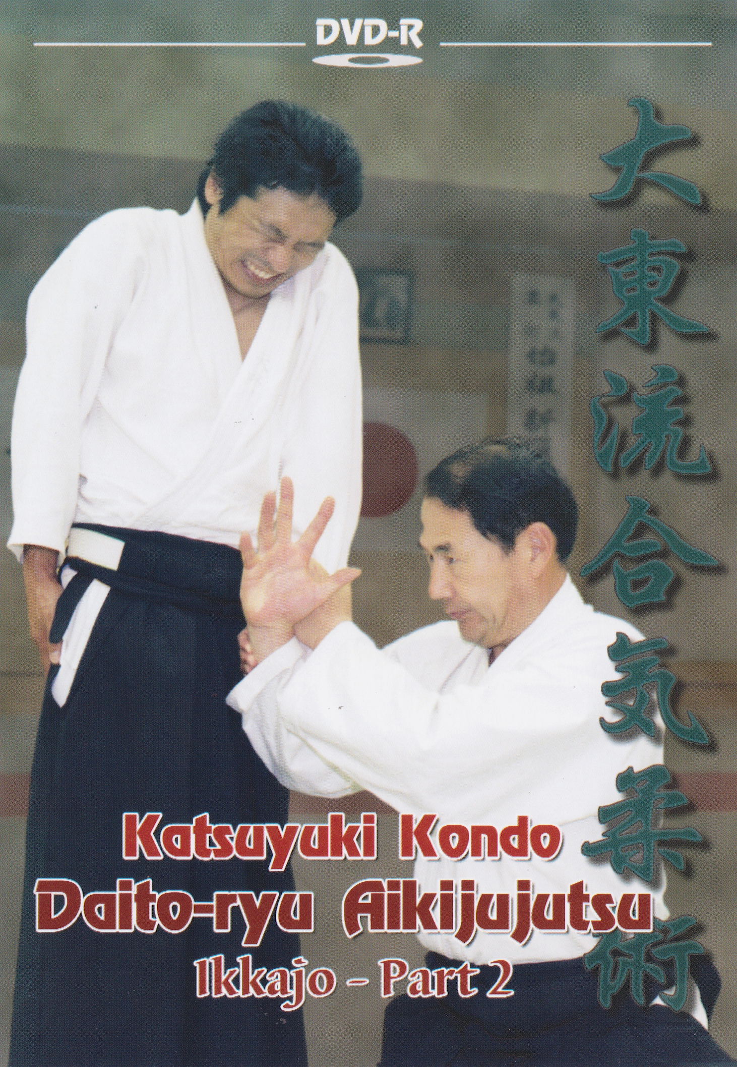 Daito Ryu Aikijujutsu Ikkajo Part 2 DVD by Katsuyuki Kondo (Preowned)