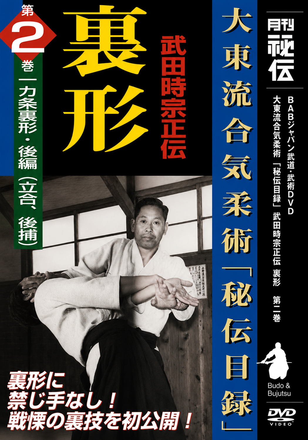 Daito Ryu Aikijujutsu: Ikkajo Ura Techniques DVD 2