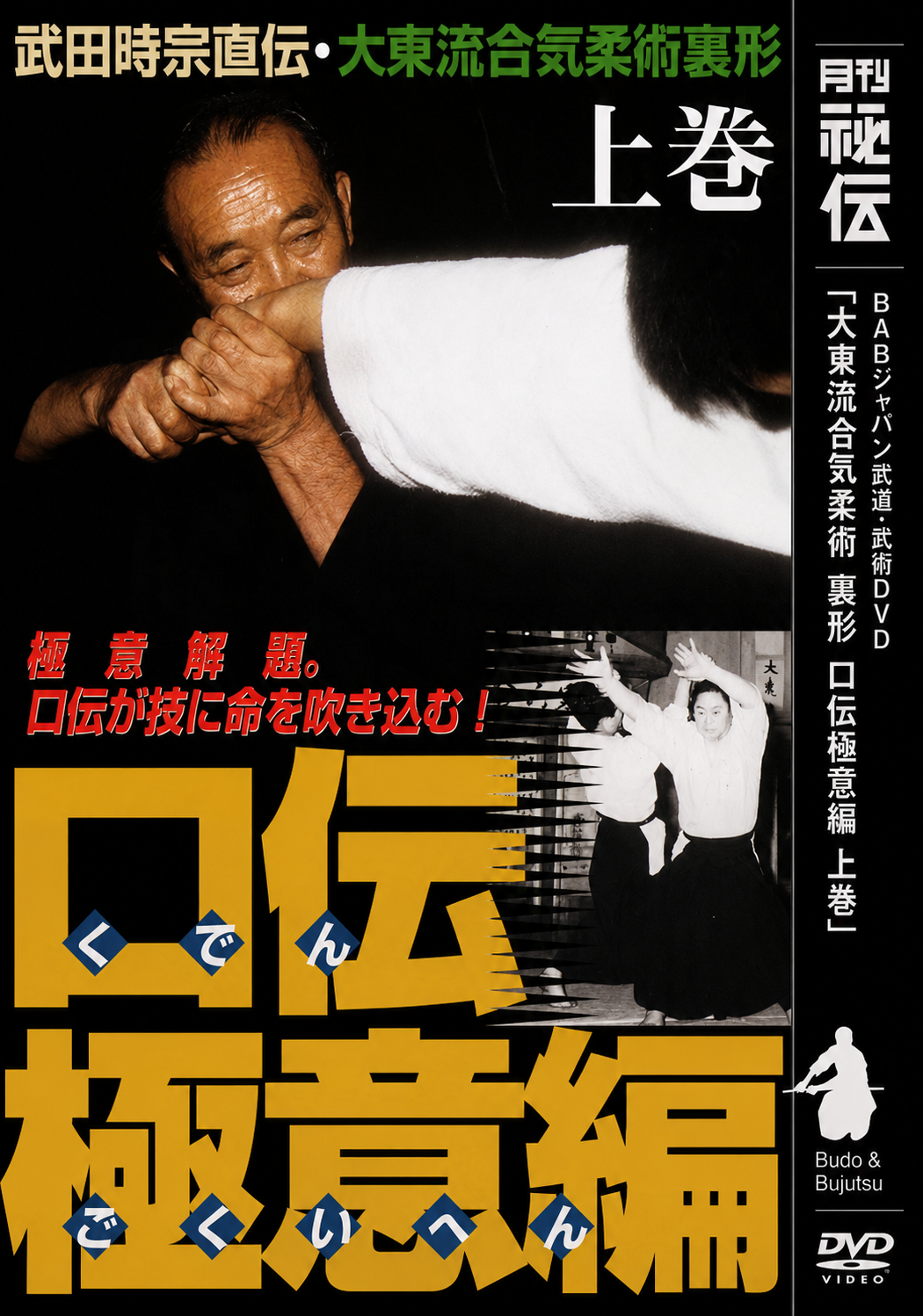 Daito Ryu Aikijujutsu: Nikajo Ura Techniques DVD 1