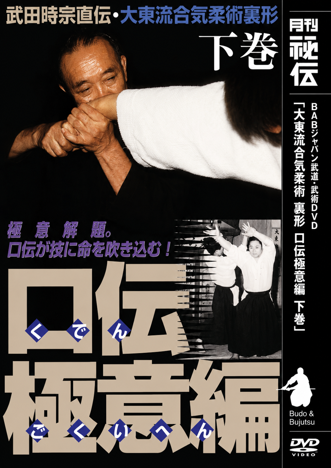 Daito Ryu Aikijujutsu: Nikajo Ura Techniques DVD 2