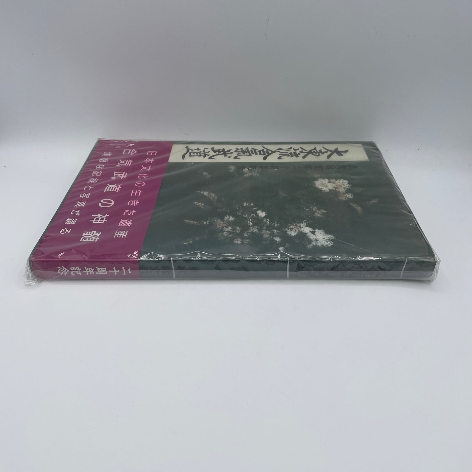 Daito Ryu Aikijujutsu Tokyo Branch 20th Anniversary Book (Preowned)