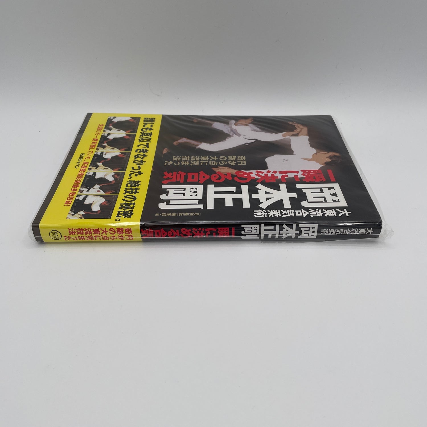 Daito Ryu Aikijujutsu: The Aiki that Decides in an Instant: The Miraculous Techniques Perfected from