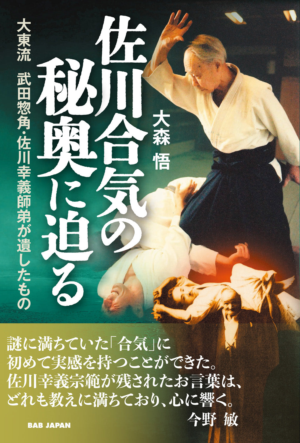 Delving into the Deepest Secrets of Sagawa Aiki Book by Satoru Omori