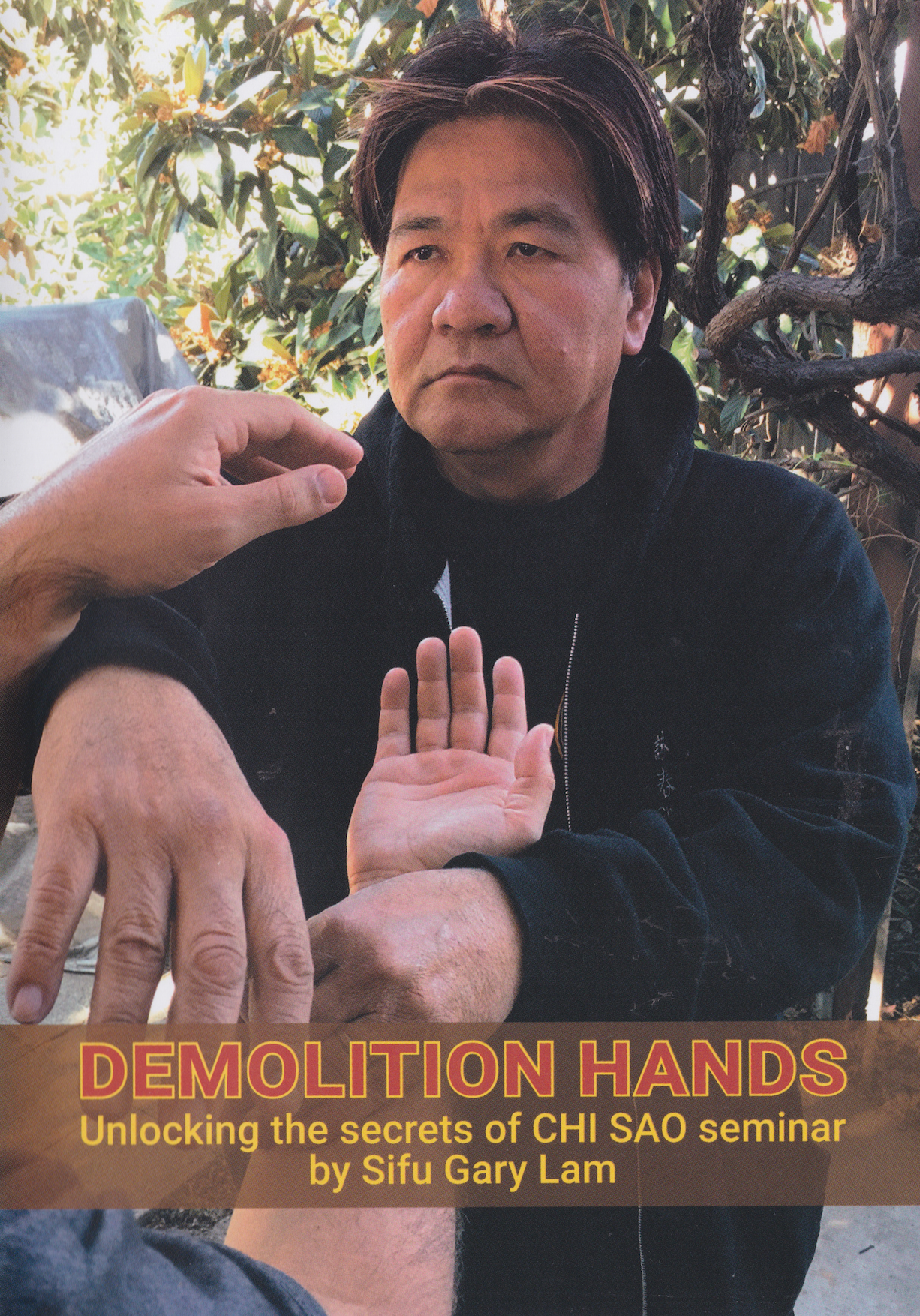 DVD de manos de demolición de Gary Lam