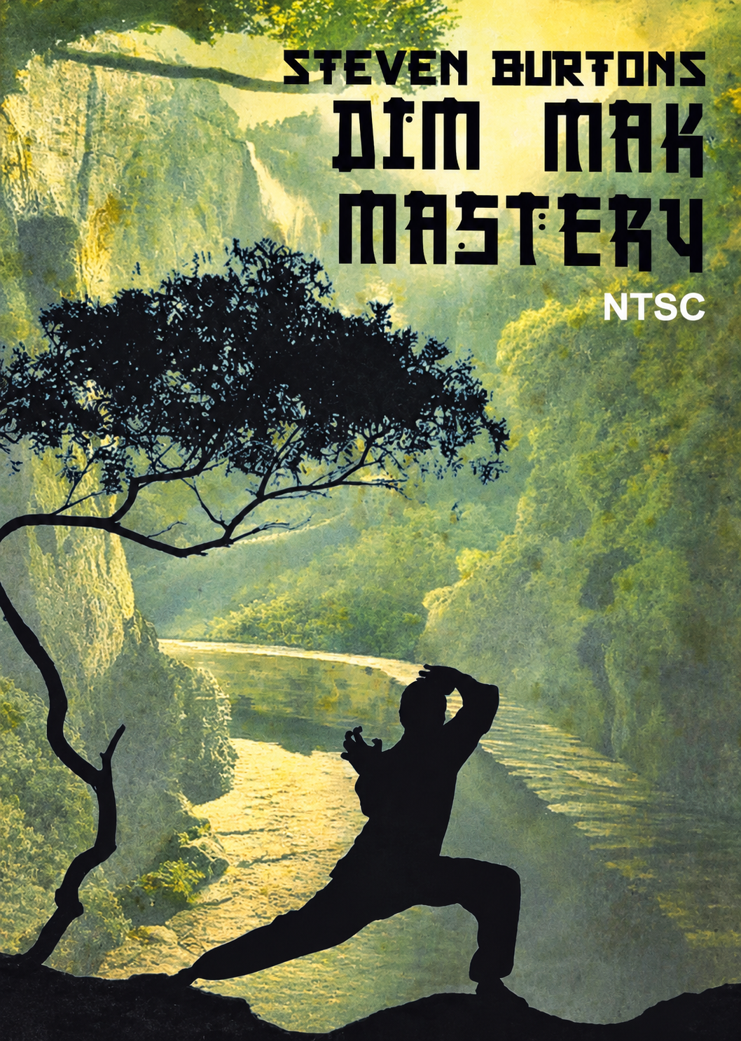 Dim Mak Mastery 8 DVD Set with Steven Burton (Preowned) (PAL)
