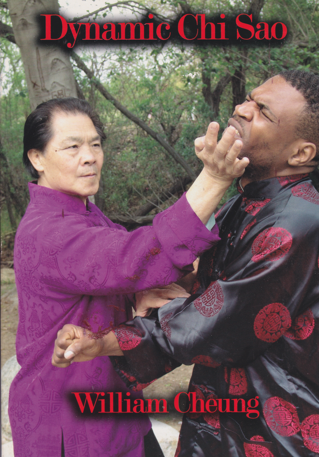 Dynamic Chi Sao Book by William Cheung (Preowned)