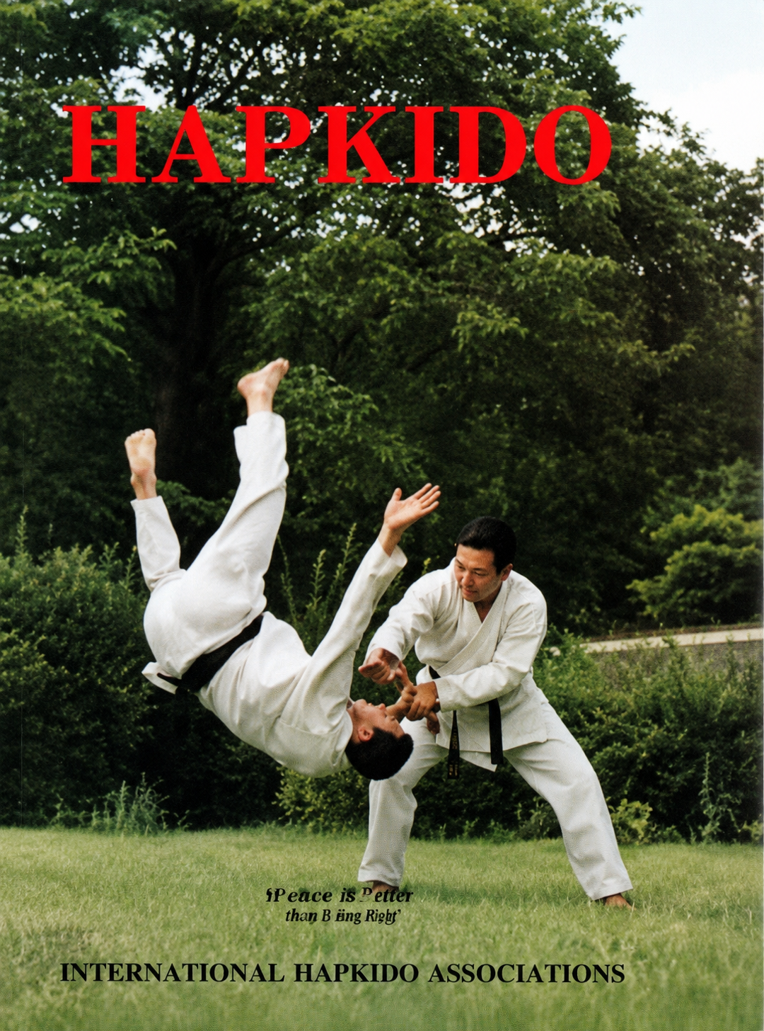 Elementary Hapkido Vol 2 Book by Joon Lee (Hardcover)