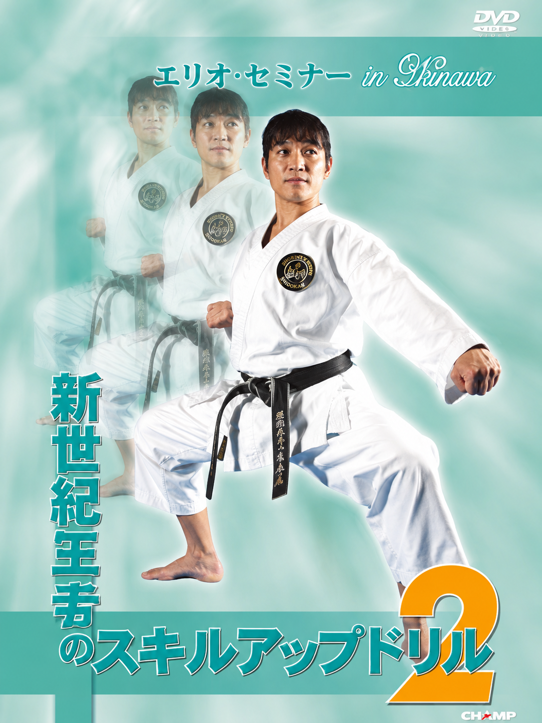 Elisa's Seminar in Hawaii Upskilling Drills Vol 2 DVD