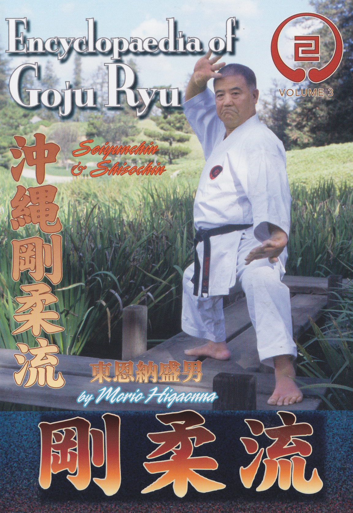 剛柔流事典 Part 3 DVD 東恩納盛男出演