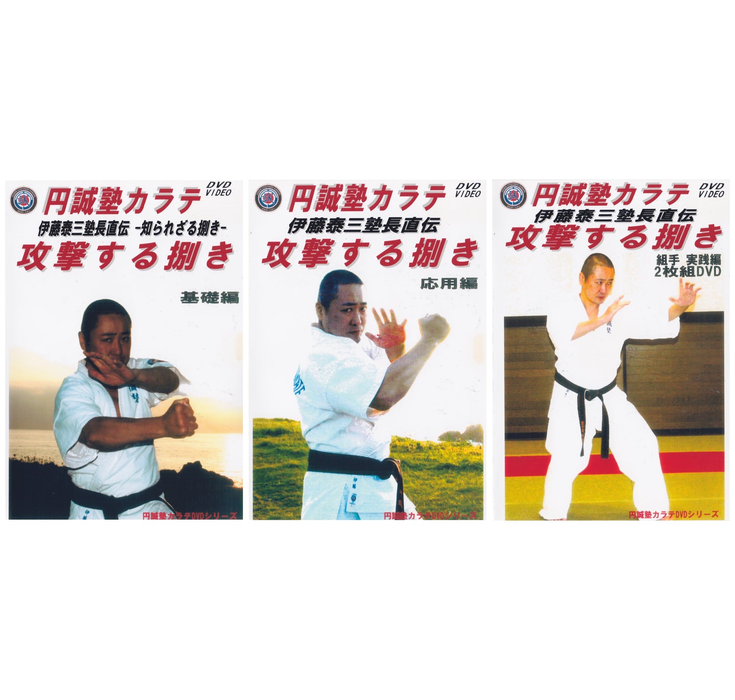 Ensei Juku Karate Attacking Sabaki 4 DVD Set by Taizo Ito (Preowned)