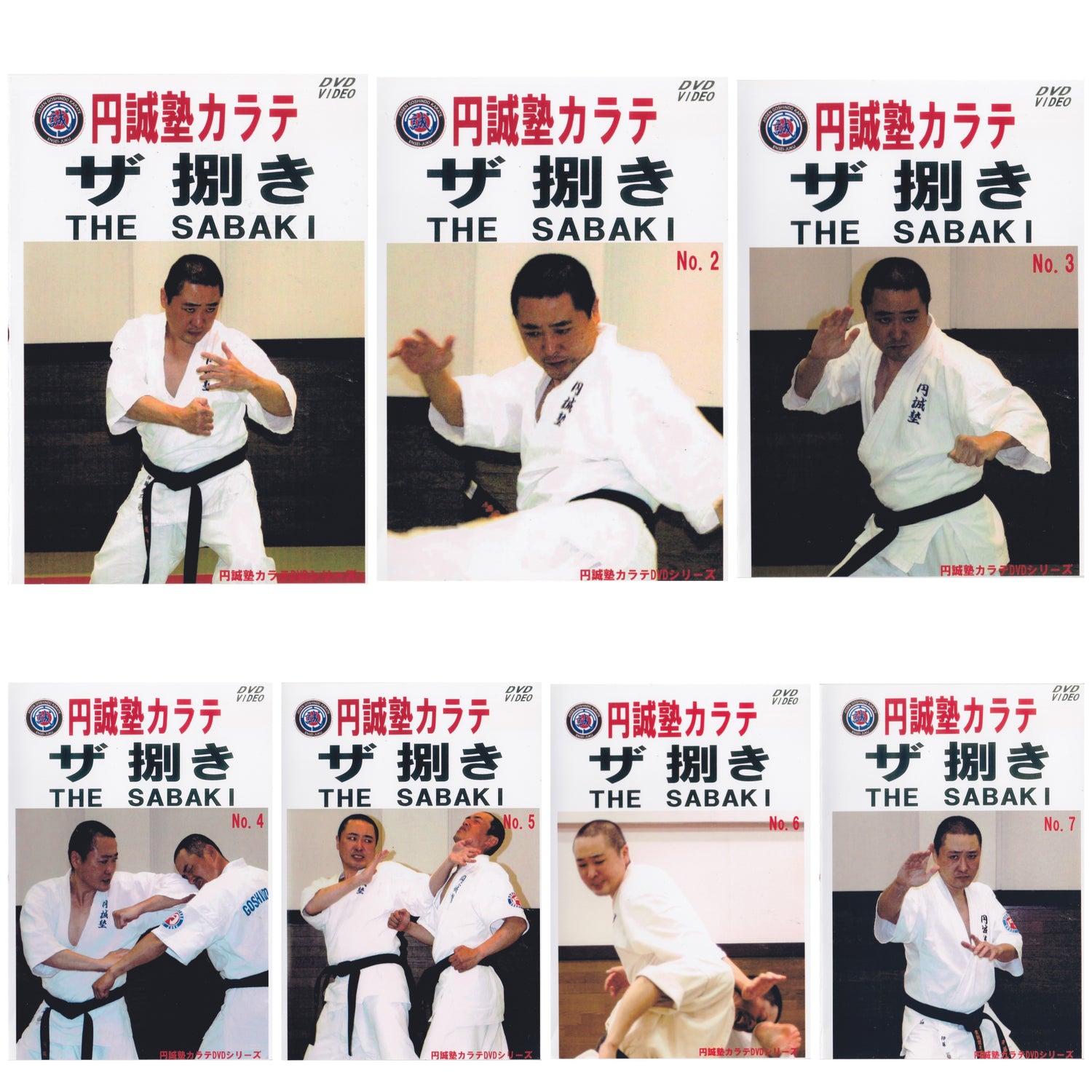 Ensei Juku Karate the Sabaki 7 DVD Set by Taizo Ito (Preowned)