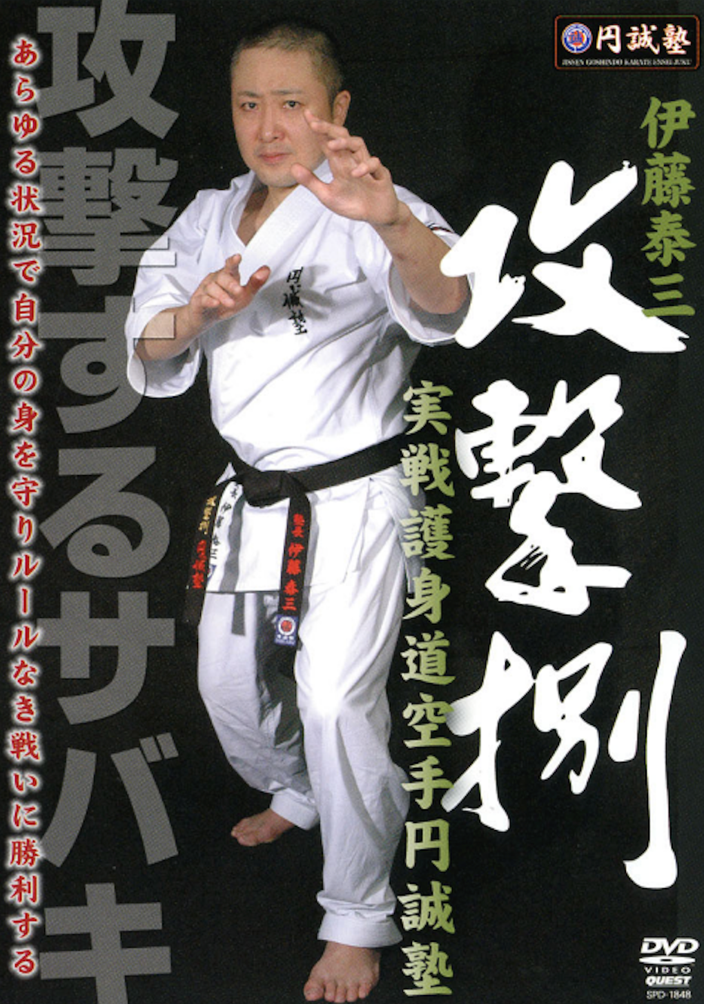 Ensei Juku Self Defense Karate DVD Taizo Ito (Preowned)