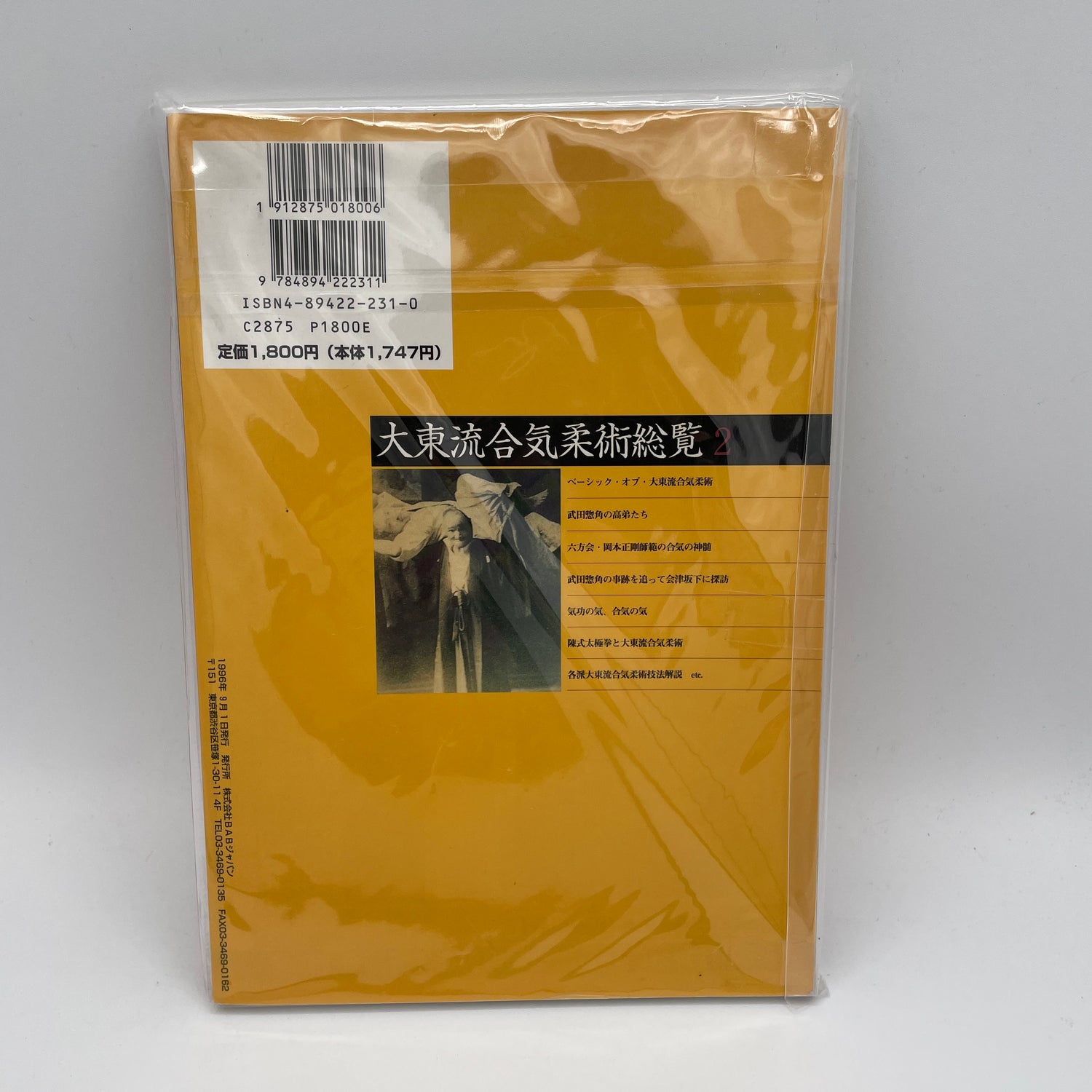 Essence of Daito Ryu Aikijujutsu Book 2 (Preowned)