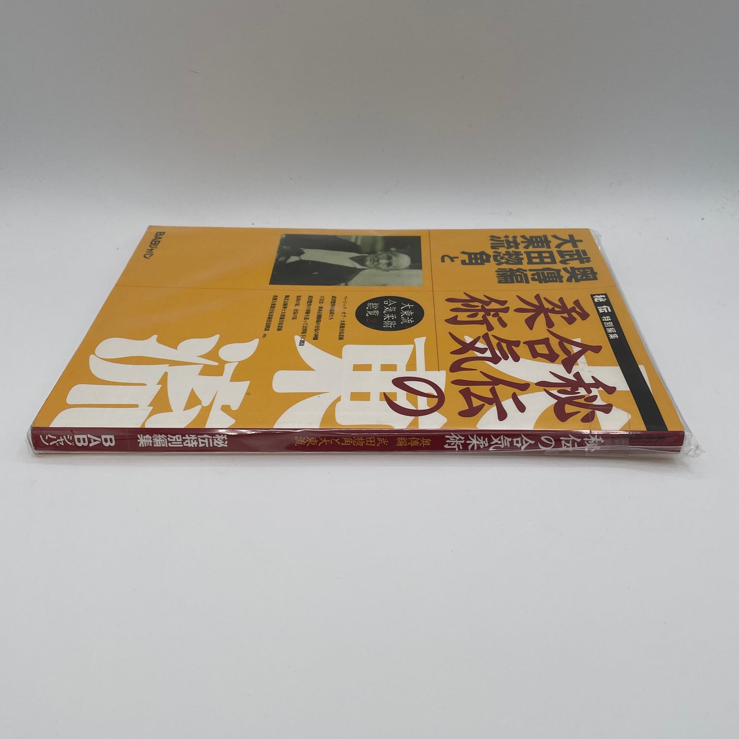 Essence of Daito Ryu Aikijujutsu Book 2 (Preowned)