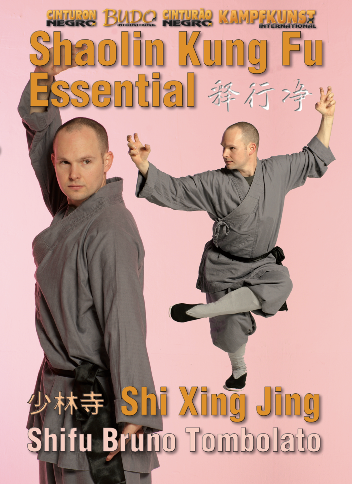 Essential Shaolin Kung Fu DVD by Bruno Tombolato