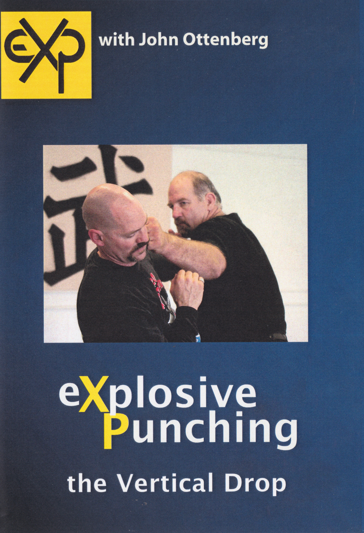 Explosive Punching: The Vertical Drop DVD by John Ottenberg