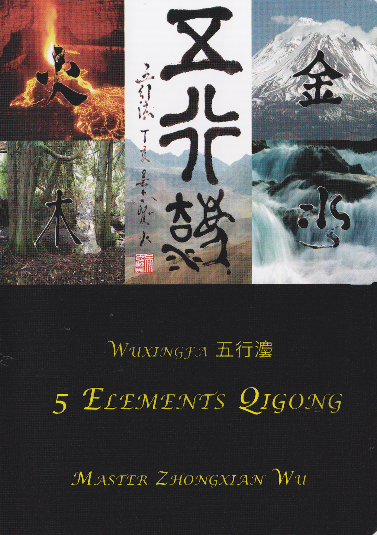 Five Elements Qigong DVD by Zhongxian Wu
