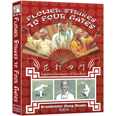 Flower Strikes to Four Gates DVD by Zhang Shaobo