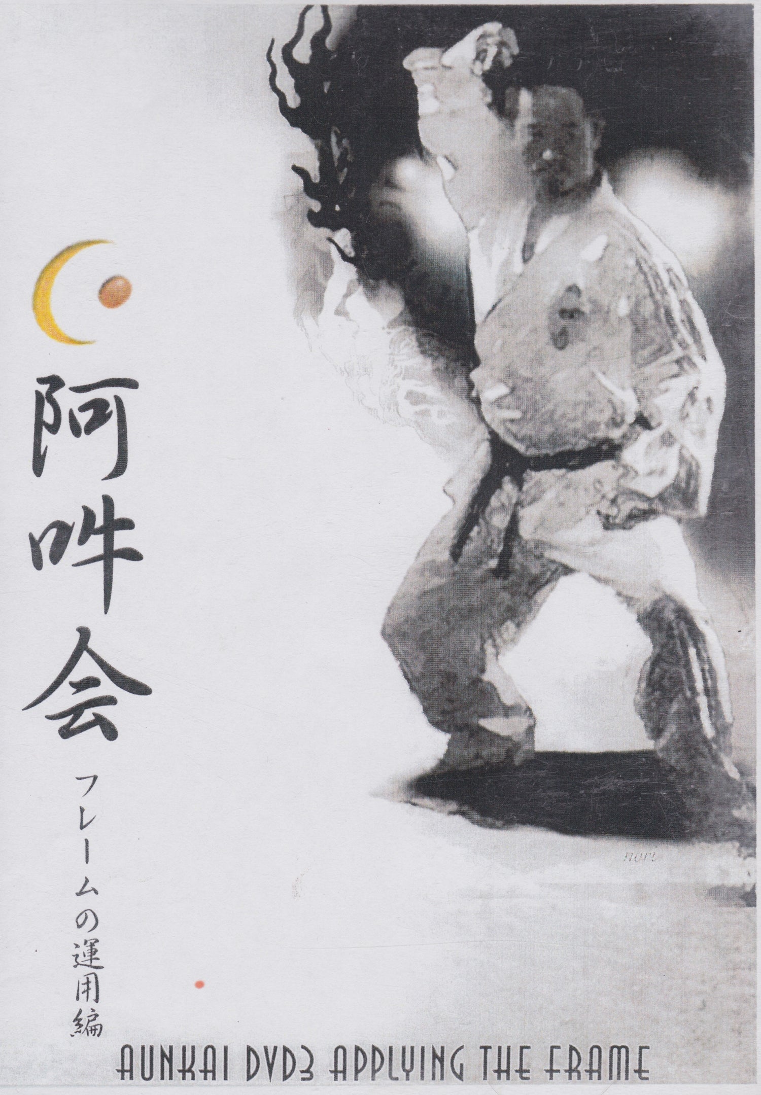 Aunkai 3 DVD Set by Minoru Akuzawa (Preowned)