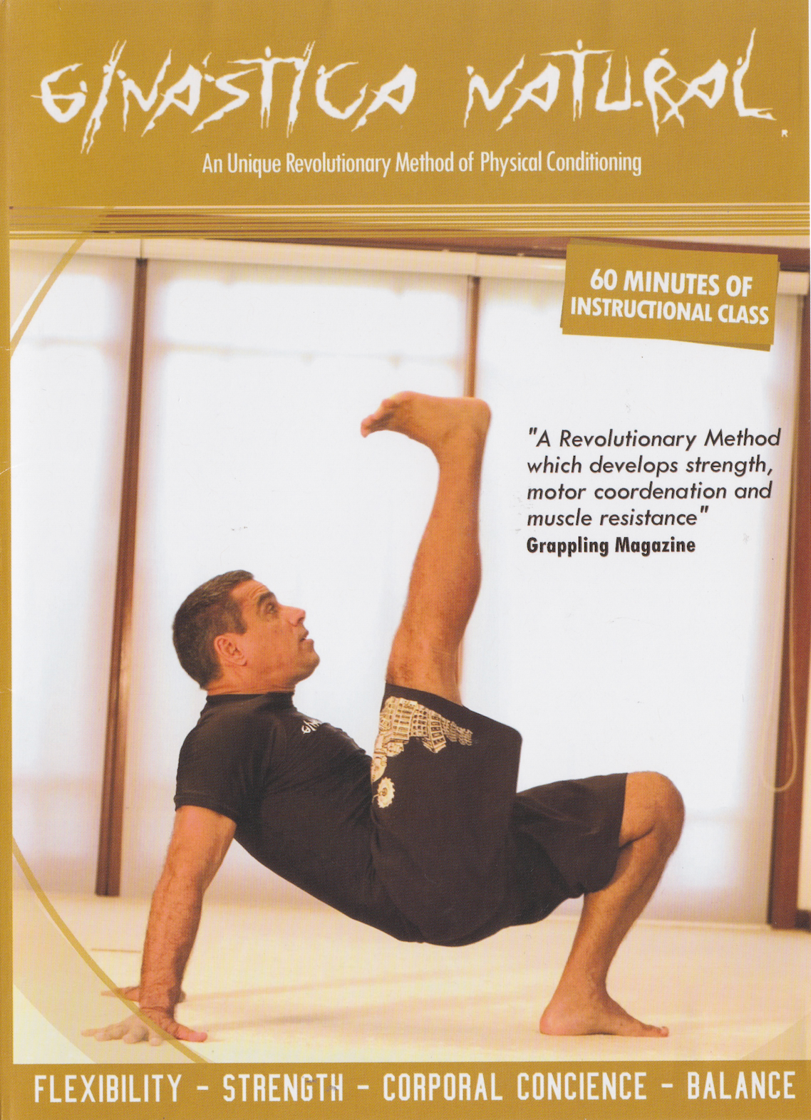 DVD Ginastica Natural Fundamentals de Álvaro Romano