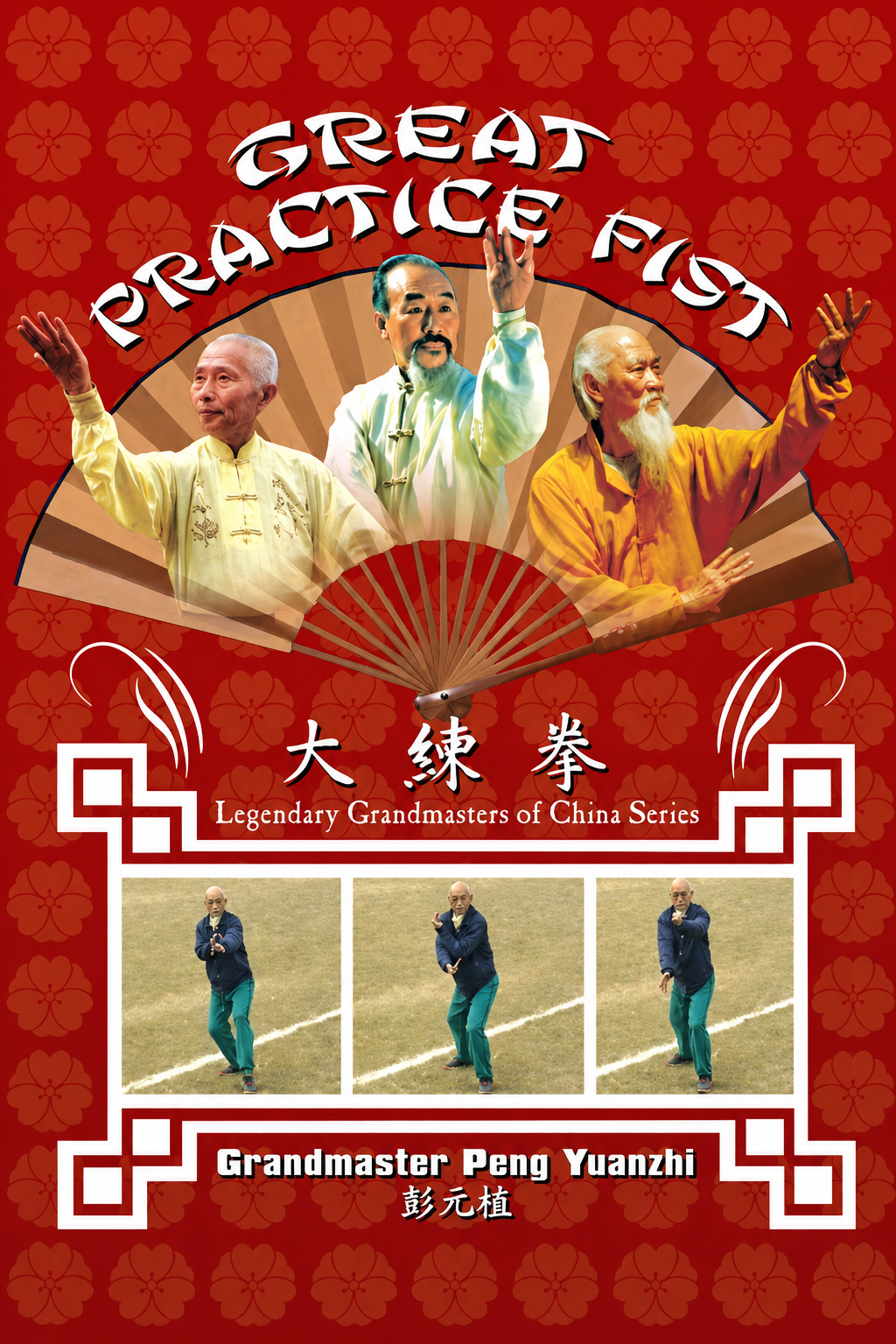 Great Practice Fist DVD by Peng Yuanzhi