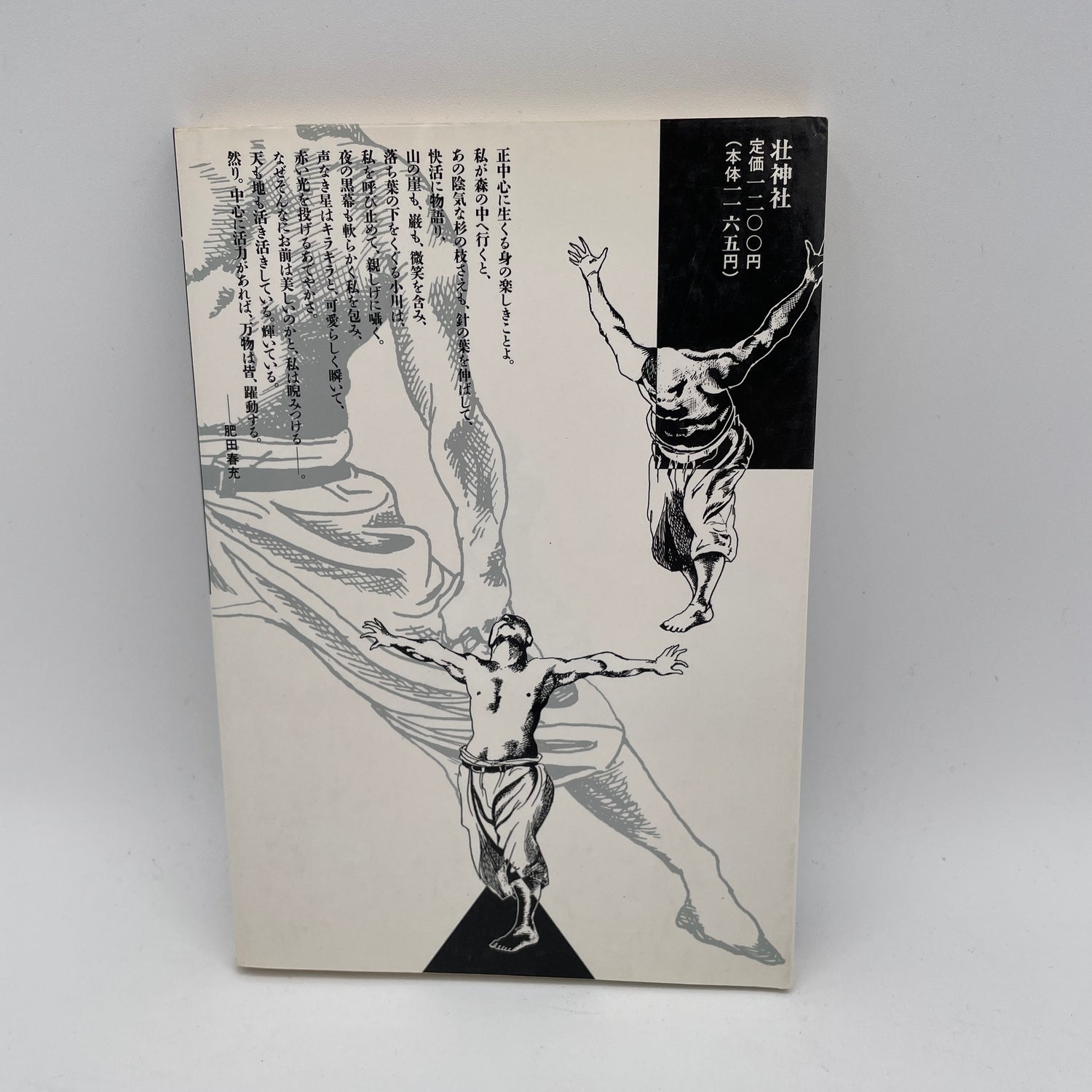 Hida Health System Book by Shinkyo Yoshida (Preowned)