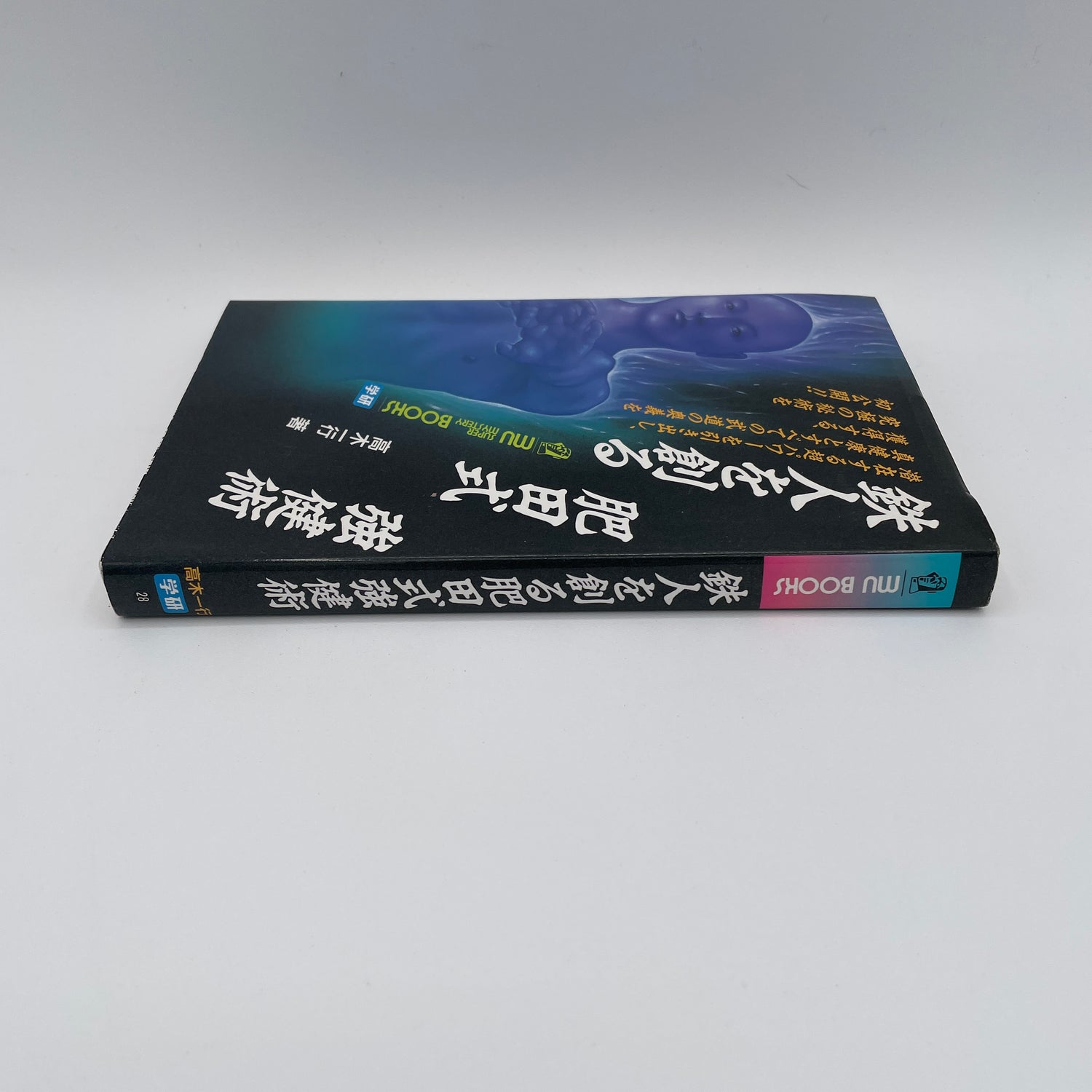 Hida Style Strong Technique Book 1: Create an Iron Body by Ikko Takagi (Preowned)