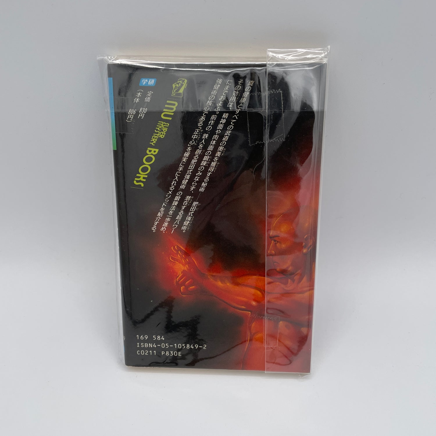 Hida Style Strong Technique Book 2: Chushin Ryoku by Ikko Takagi (Preowned)