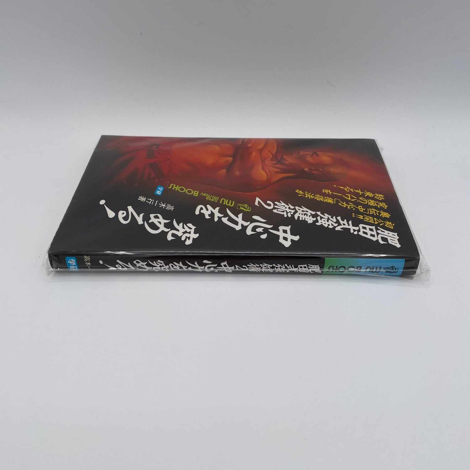 Hida Style Strong Technique Book 2: Chushin Ryoku by Ikko Takagi (Preowned)