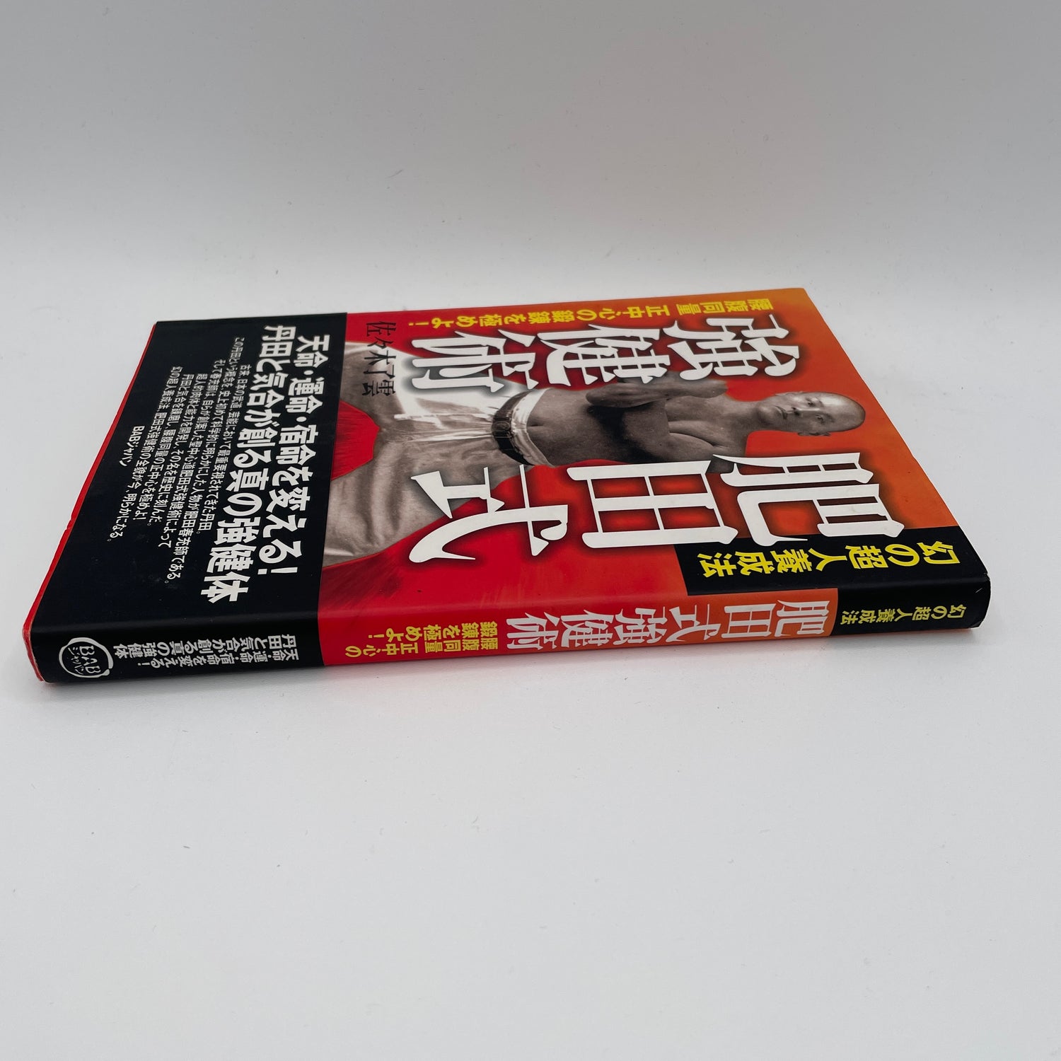 Hida Style Strong Technique Book by Ryun Sasaki