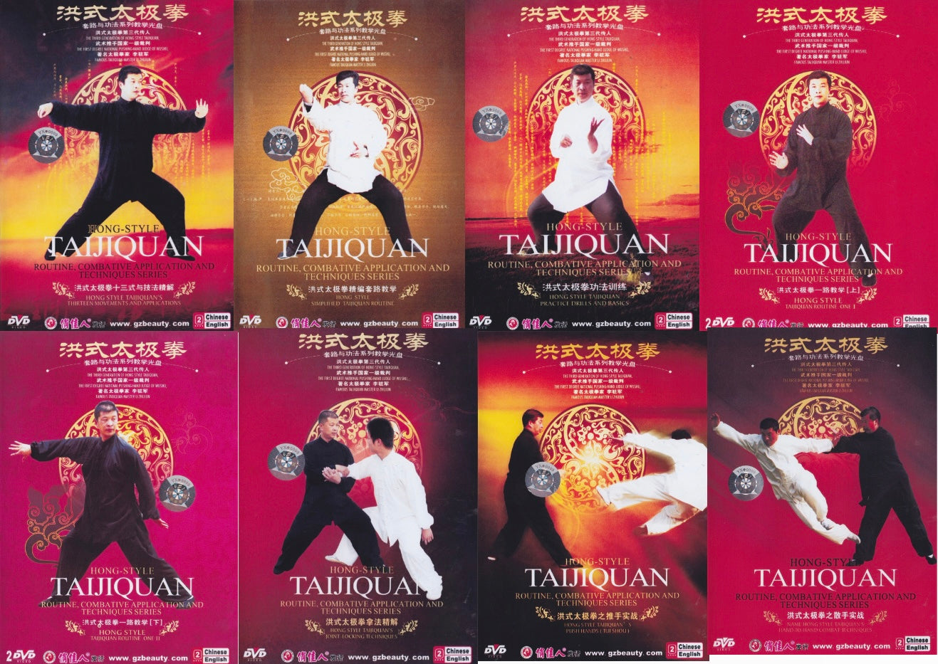 Hong Style Tai Chi 10 DVD Set by Li Zhujun