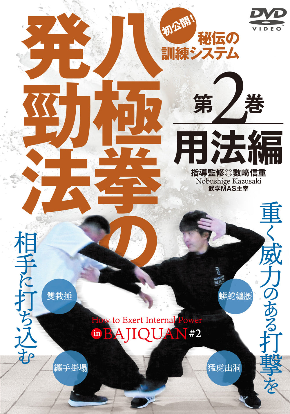 How to Exert Internal Power in Bajiquan DVD 2 by Nobushige Kazusaki