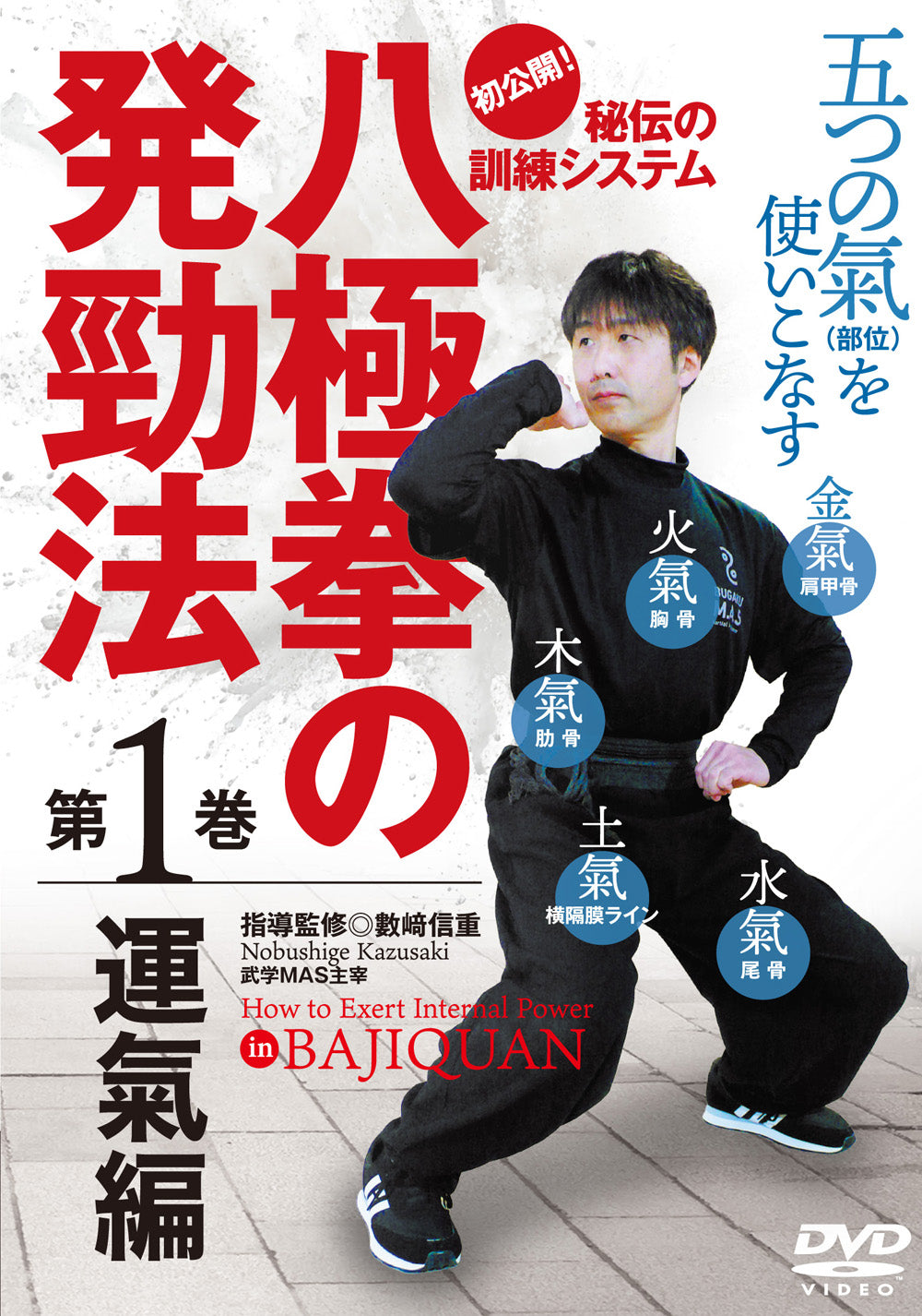 How to Exert Internal Power in Bajiquan DVD 1 by Nobushige Kazusaki