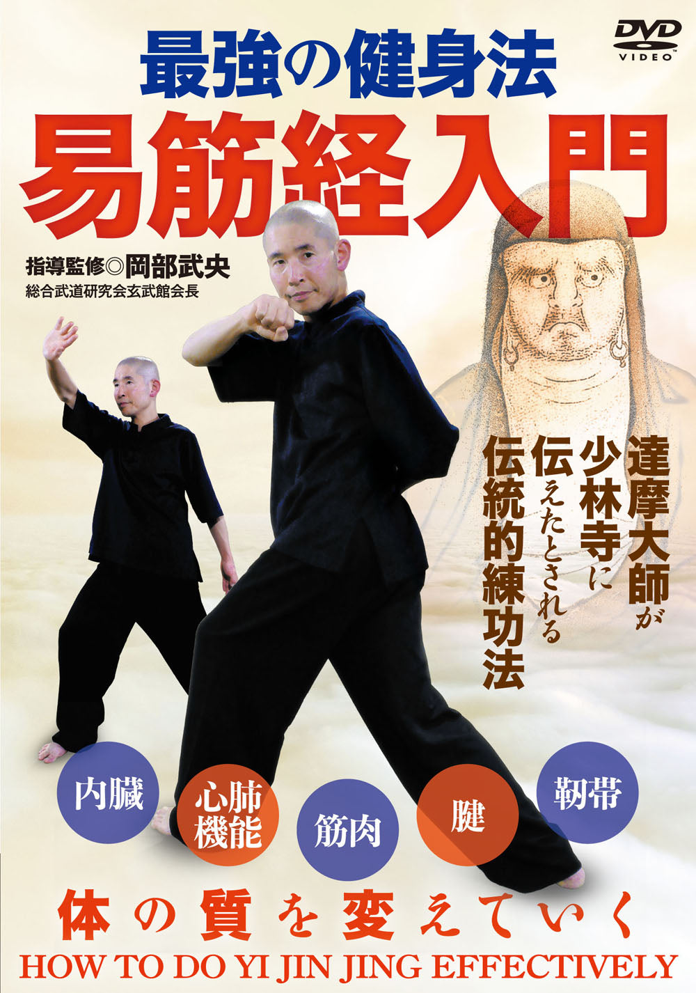 How to do Yi Jin Jing Effectively DVD by Takehisa Okabe